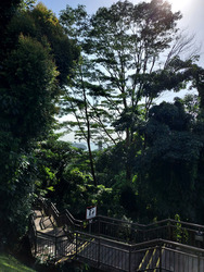 Mount Faber Lodge (D4), Condominium #448661841